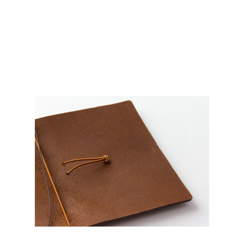 Passport Size Camel
