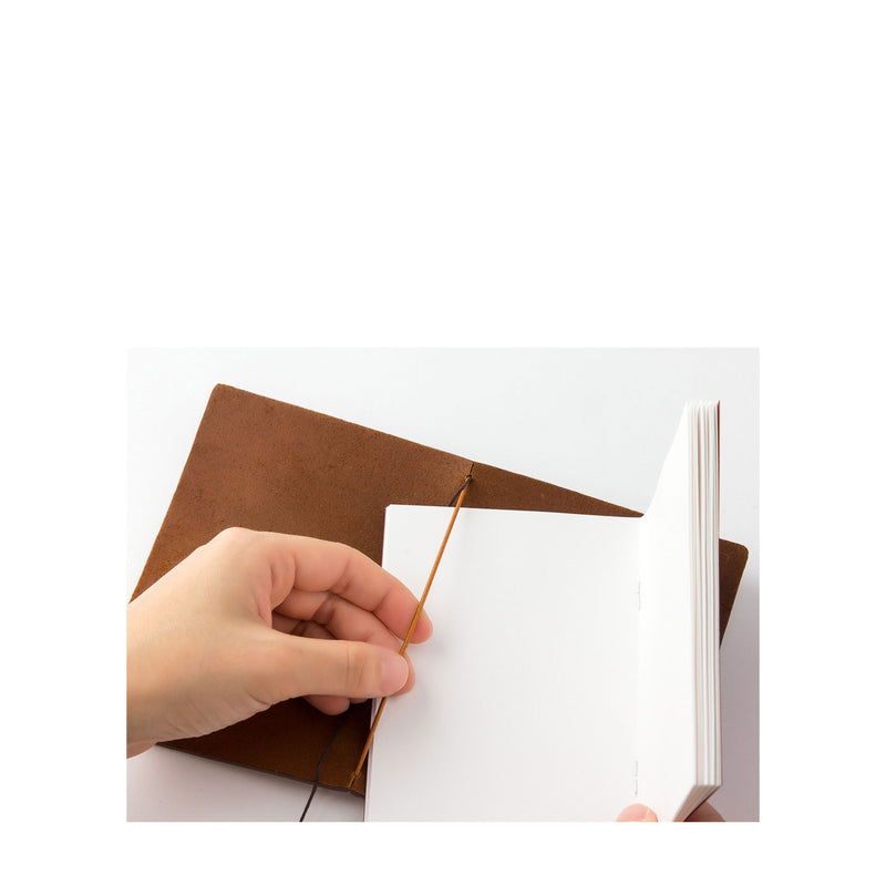 Passport Size Camel