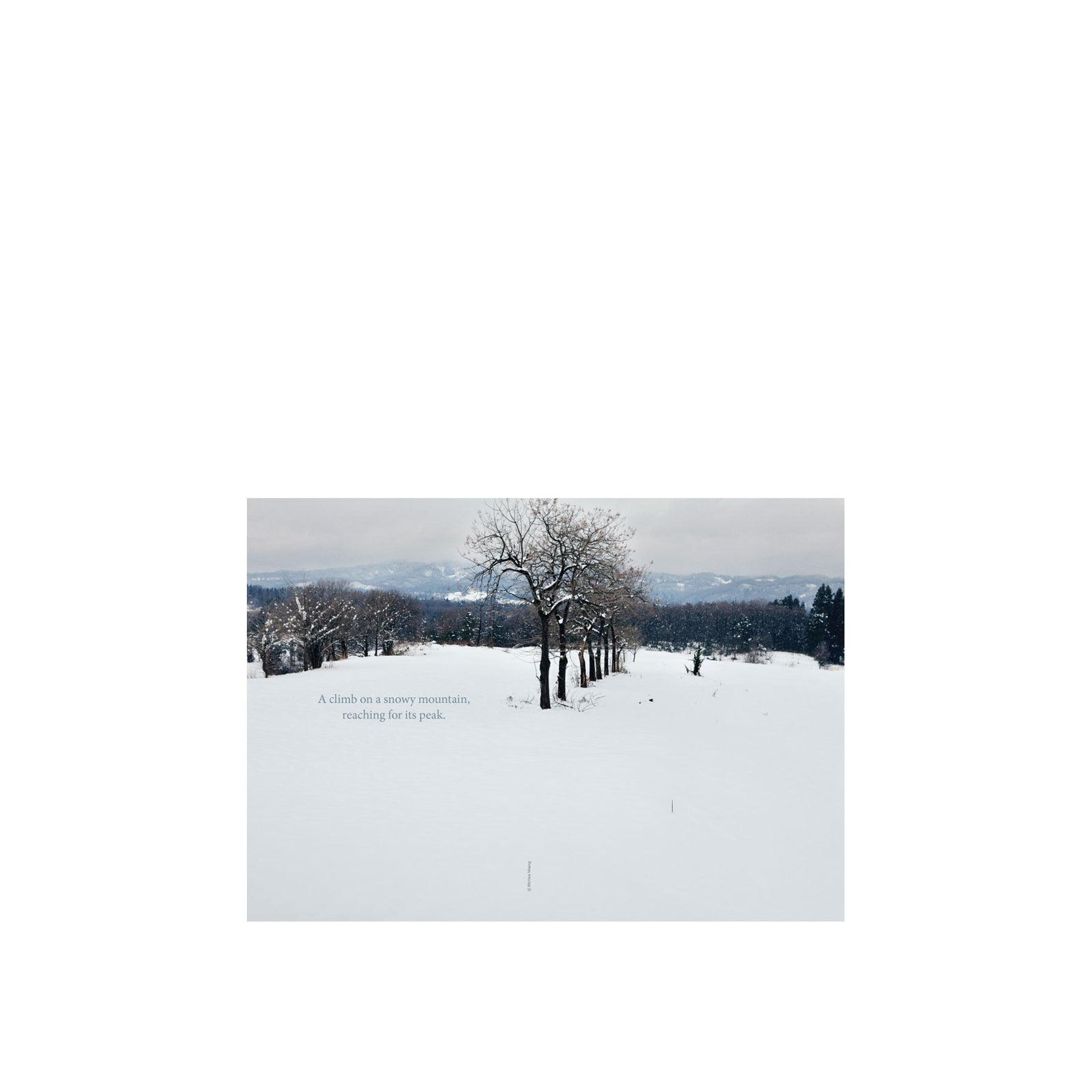 Magazine B Snow Peak – MŌNO